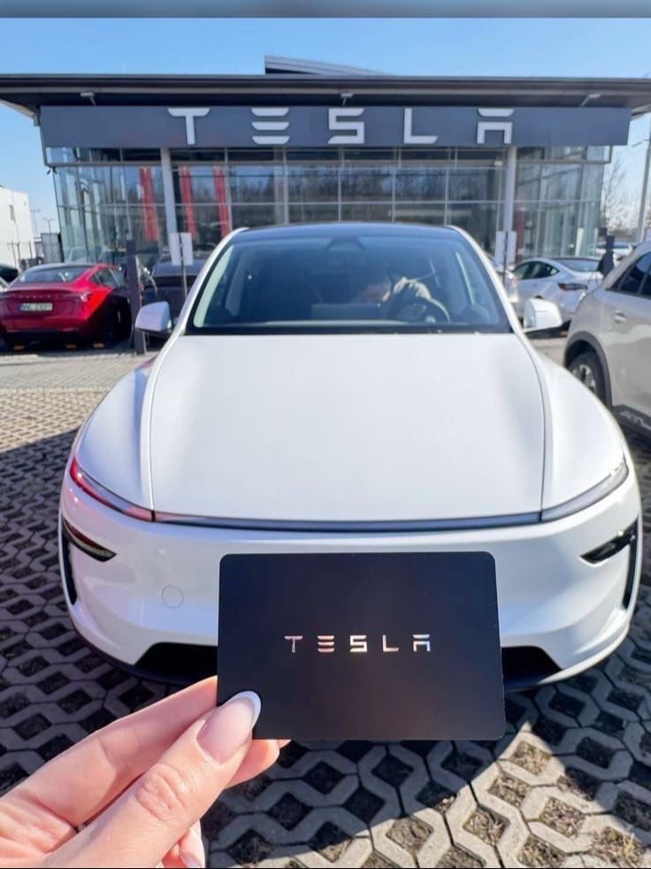 Anna's Model 3